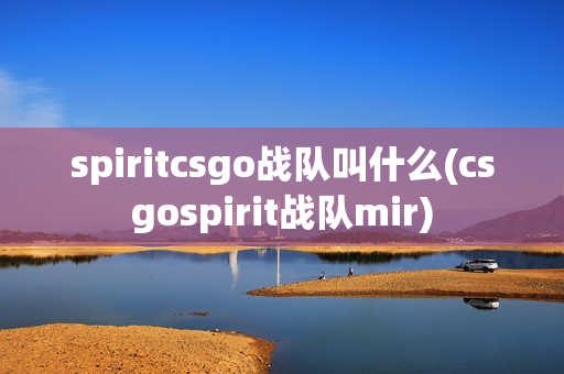 spiritcsgo战队叫什么(csgospirit战队mir)